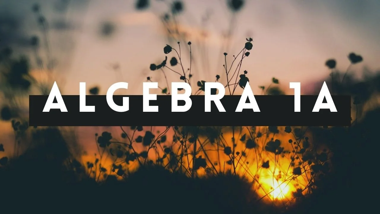 Algebra 1A — Nexbooks